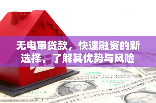 台东无电审贷款，快速融资的新选择，了解其优势与风险