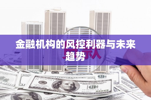 杜尔伯特金融机构的风控利器与未来趋势