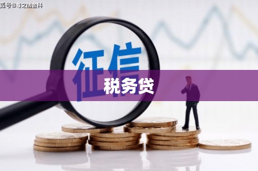 柳江税务贷