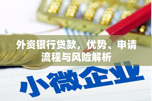 柳江外资银行贷款，优势、申请流程与风险解析