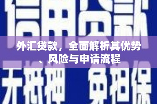 柳江外汇贷款，全面解析其优势、风险与申请流程