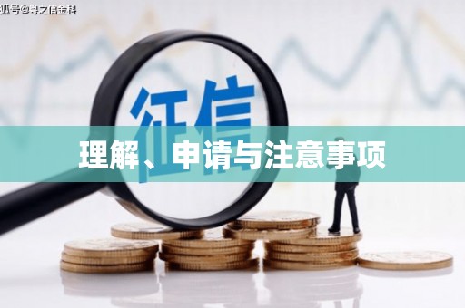 南充理解、申请与注意事项