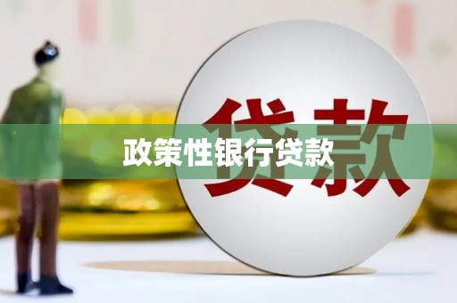 南充政策性银行贷款