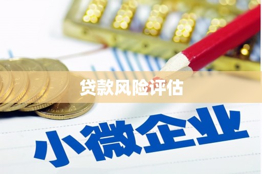 南充贷款风险评估