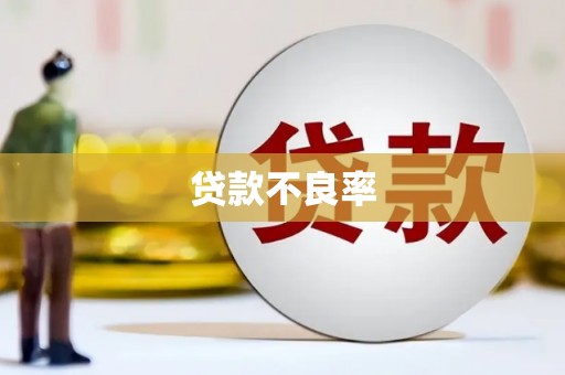淳化贷款不良率