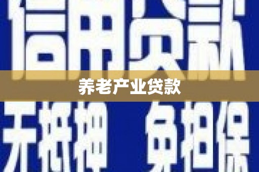 团风养老产业贷款