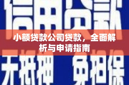 甘泉小额贷款公司贷款，全面解析与申请指南
