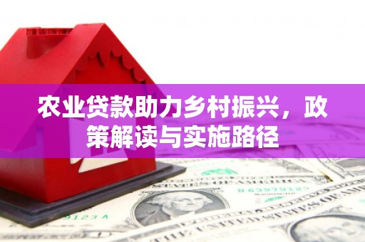 团风农业贷款助力乡村振兴，政策解读与实施路径