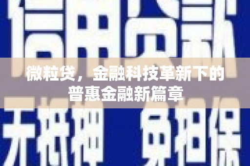 田林微粒贷，金融科技革新下的普惠金融新篇章