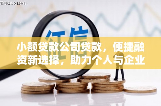沙田小额贷款公司贷款，便捷融资新选择，助力个人与企业成长