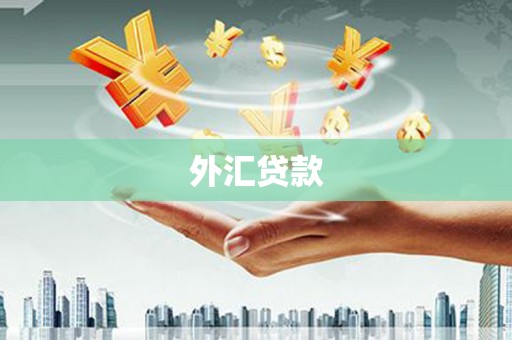 甘泉外汇贷款