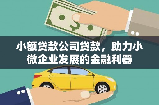 桑日小额贷款公司贷款，助力小微企业发展的金融利器