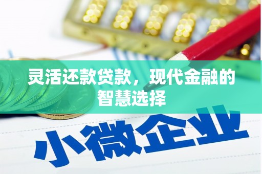 博罗灵活还款贷款，现代金融的智慧选择