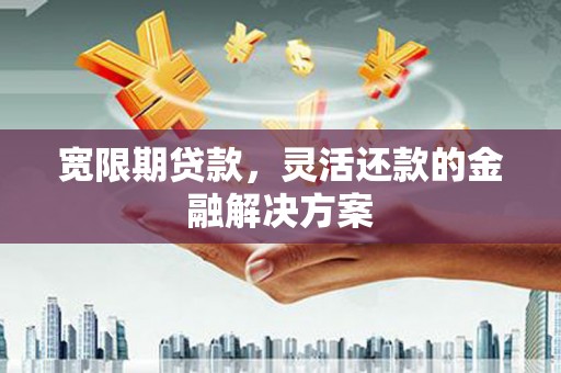 博罗宽限期贷款，灵活还款的金融解决方案