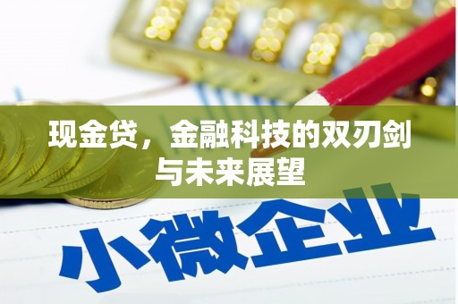 博罗现金贷，金融科技的双刃剑与未来展望