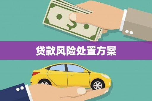 博罗贷款风险处置方案