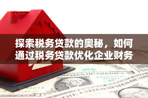 黑山探索税务贷款的奥秘，如何通过税务贷款优化企业财务