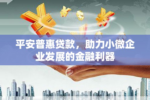 南充平安普惠贷款，助力小微企业发展的金融利器