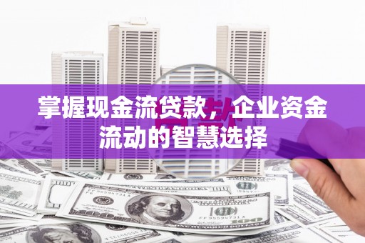 寿丰掌握现金流贷款，企业资金流动的智慧选择