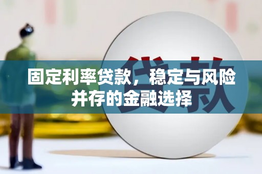 无棣固定利率贷款，稳定与风险并存的金融选择