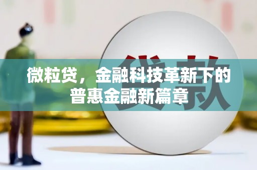 无棣微粒贷，金融科技革新下的普惠金融新篇章