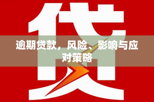 新宾逾期贷款，风险、影响与应对策略