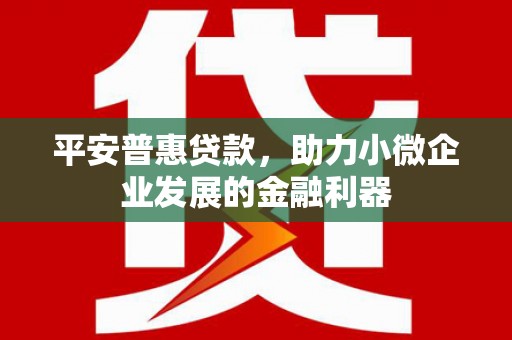 北关平安普惠贷款，助力小微企业发展的金融利器