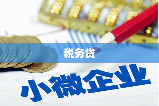 奉新税务贷