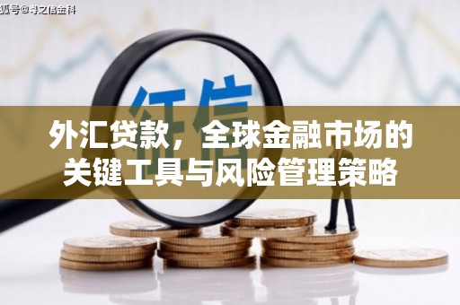 庄浪外汇贷款，全球金融市场的关键工具与风险管理策略