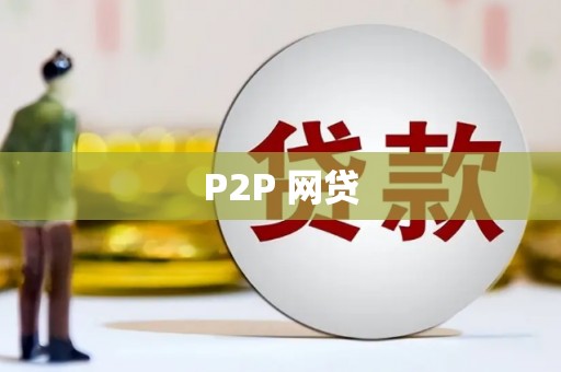 庄浪P2P 网贷