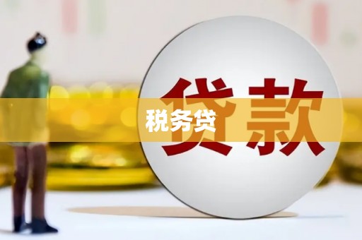 奉新税务贷