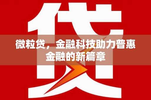 玛多微粒贷，金融科技助力普惠金融的新篇章