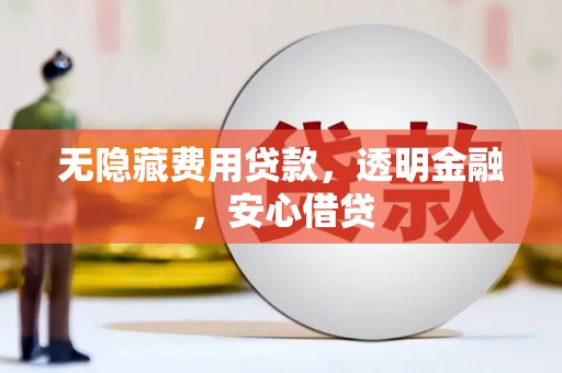 新龙无隐藏费用贷款，透明金融，安心借贷
