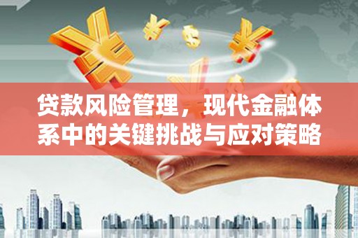 思茅贷款风险管理，现代金融体系中的关键挑战与应对策略