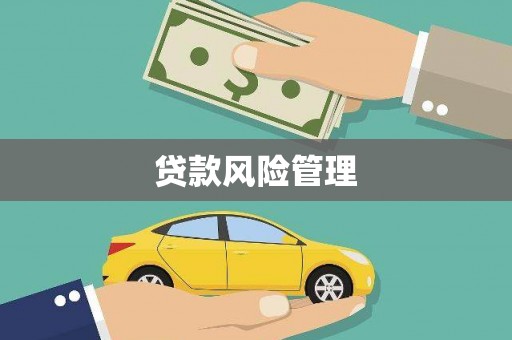 双柏贷款风险管理