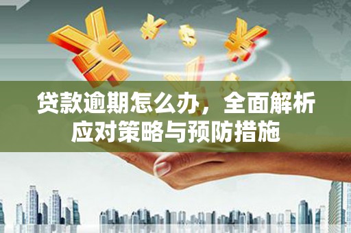 双柏贷款逾期怎么办，全面解析应对策略与预防措施
