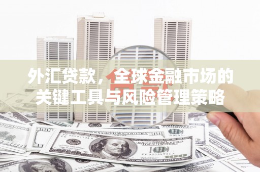 双柏外汇贷款，全球金融市场的关键工具与风险管理策略
