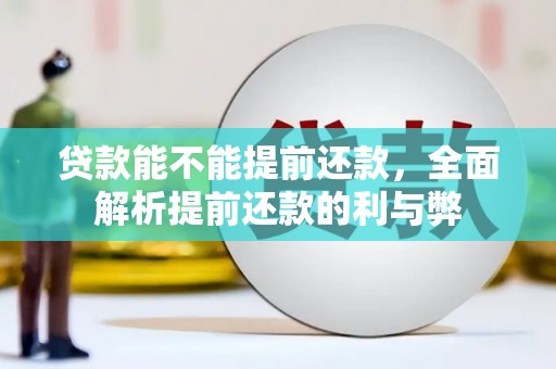 玛多贷款能不能提前还款，全面解析提前还款的利与弊