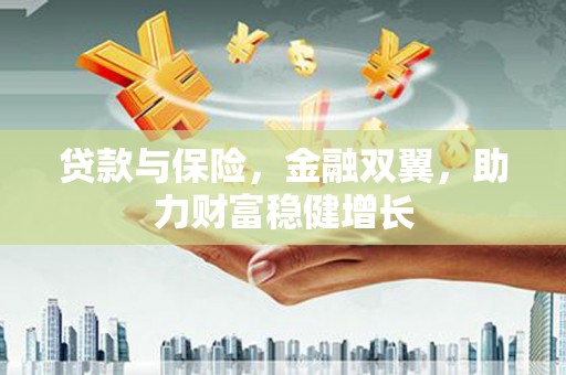 玛多贷款与保险，金融双翼，助力财富稳健增长