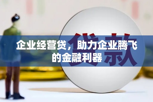 无为企业经营贷，助力企业腾飞的金融利器