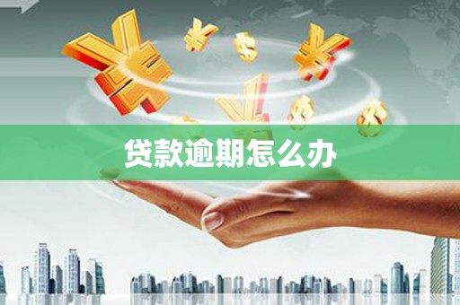 修水贷款逾期怎么办