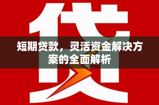 四湖短期贷款，灵活资金解决方案的全面解析