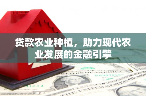四湖贷款农业种植，助力现代农业发展的金融引擎