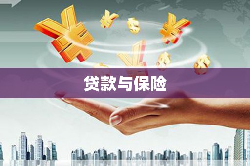 坊子贷款与保险
