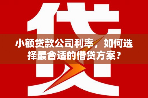 四湖小额贷款公司利率，如何选择最合适的借贷方案？
