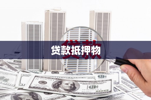 四湖贷款抵押物
