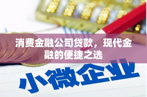 四湖消费金融公司贷款，现代金融的便捷之选