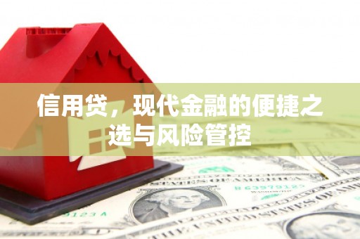 丹凤信用贷，现代金融的便捷之选与风险管控