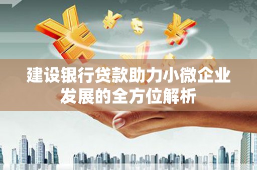 无为建设银行贷款助力小微企业发展的全方位解析