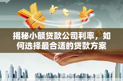 无为揭秘小额贷款公司利率，如何选择最合适的贷款方案
